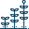three tree three tree